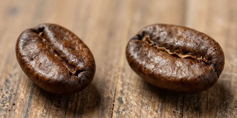 The Freshness Factor: How Old is Too Old for Espresso Beans?