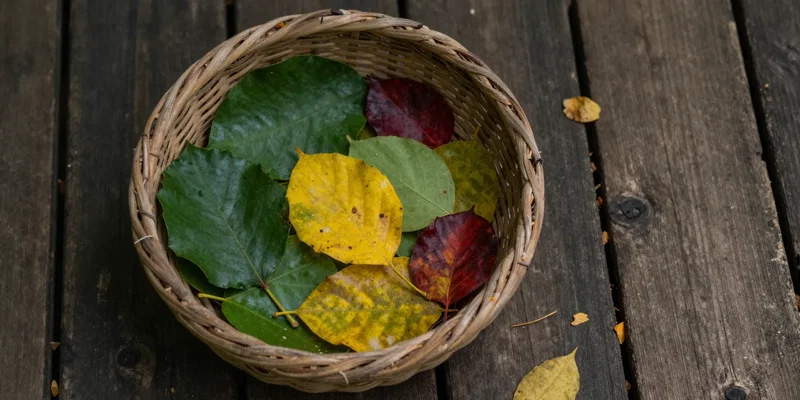 Woven basket filled with various green, yellow, and red fallen leaves, sitting on rustic wooden planks, scattered fallen